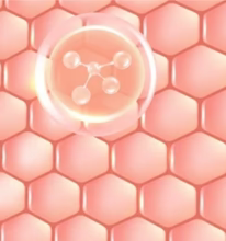 Natural Flora Therapy